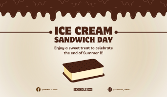 Ice Cream Sandwich Day